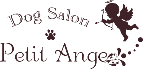 Dog Salon Petit Ange
